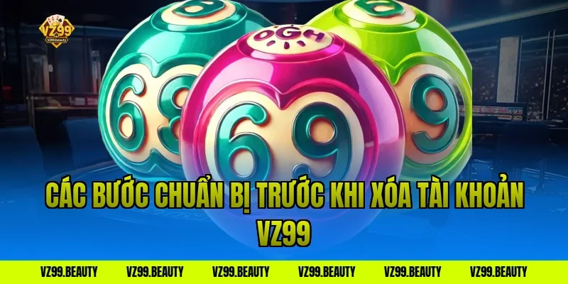Các bước chuẩn bị trước khi xóa tài khoản VZ99